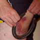Illustration for article titled There Are So Many Ways To Make Your Leg Turn Purple